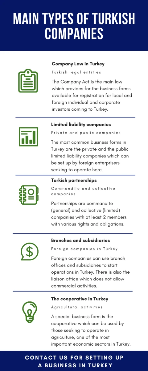 Main-types-of-Turkish-companies.png